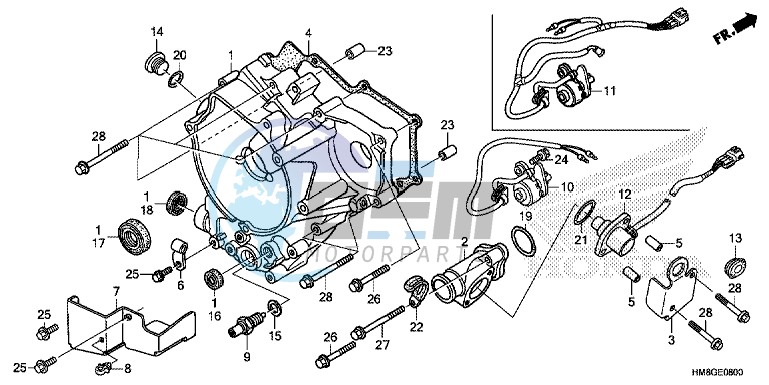 REAR CRANKCASE COVER