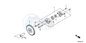 NSC50WHC drawing OIL PUMP