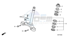 CBF125MA France - (F) drawing STEERING STEM