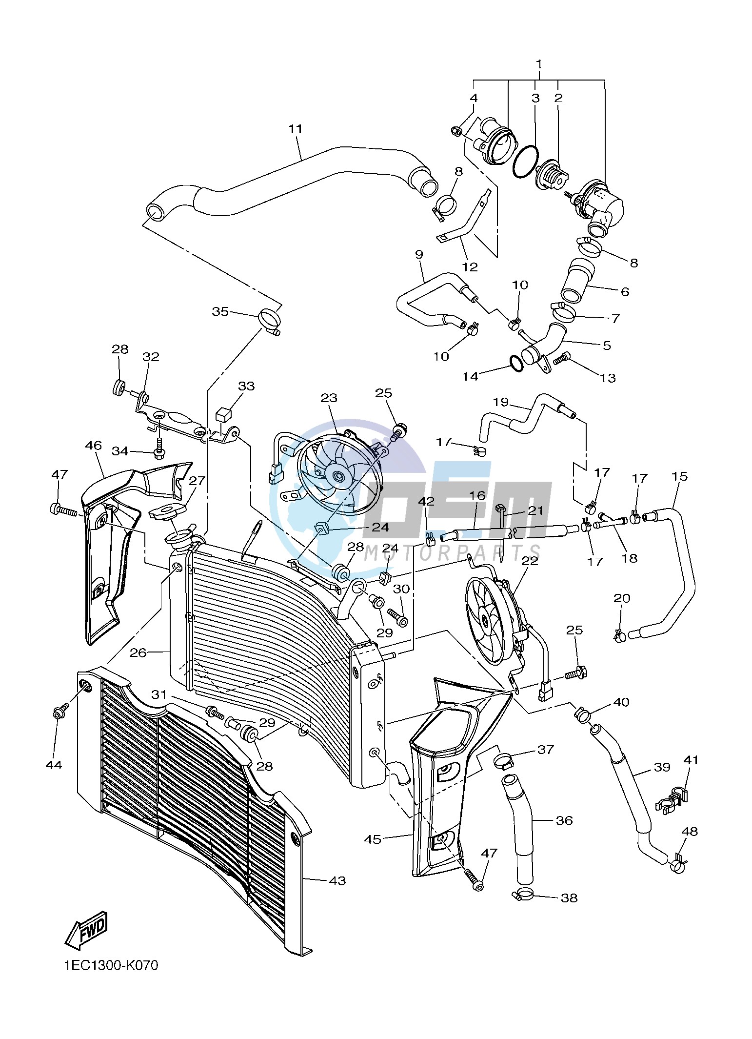 RADIATOR & HOSE