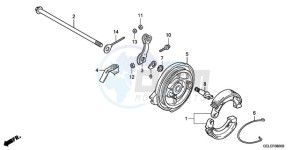 CRF50F9 Europe Direct - (ED) drawing REAR BRAKE PANEL