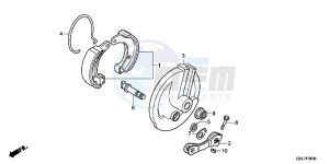 CRF50FE CRF50F Europe Direct - (ED) drawing FRONT BRAKE PANEL