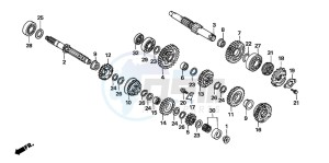 FMX650 FMX650 drawing TRANSMISSION