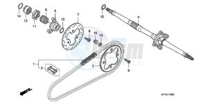 TRX450ER9 Australia - (U / SEL) drawing REAR AXLE/DRIVE CHAIN