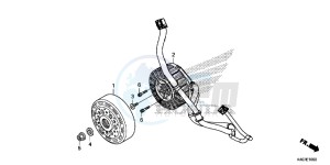 NSS125DF Forza 125 - NSS125D Europe Direct - (ED) drawing A.C.G. STARTER