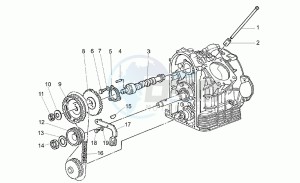 California 1100 Special Special drawing Timing system