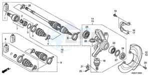 TRX500FA9 Australia - (U) drawing KNUCKLE