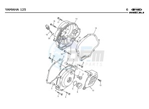 RS2 NAKED 125 drawing T06  CRANKCASE COVERS