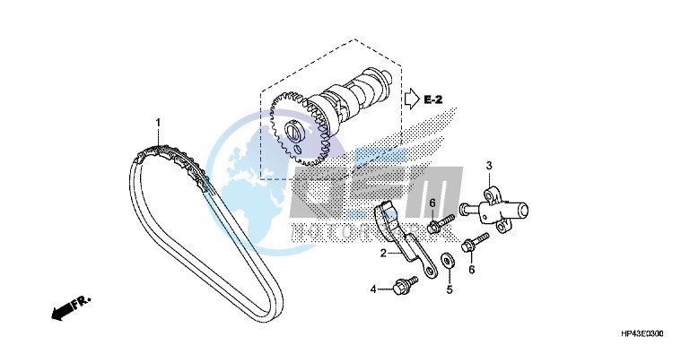 CAM CHAIN/TENSIONER