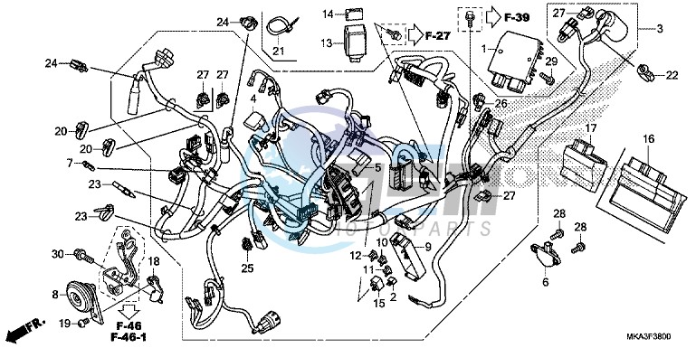 WIRE HARNESS