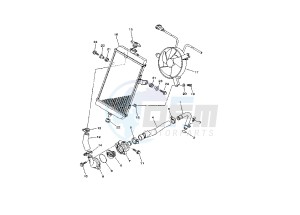 YFM RR RAPTOR 660 drawing RADIATOR- HOSE