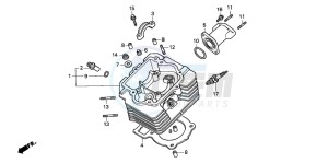 TRX200D FOURTRAX 200 drawing CYLINDER HEAD