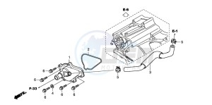 TRX420TM FOURTRAX drawing WATER PUMP COVER