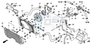 CB1300A CB1300SUPER FOUR drawing RADIATOR (CB1300A/SA)