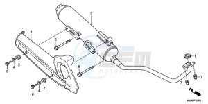 WW125D PCX125 - WW125 UK - (E) drawing EXHAUST MUFFLER