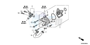 WW125D PCX125 - WW125 UK - (E) drawing WATER PUMP