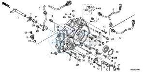 TRX500FED TRX500FE Europe Direct - (ED) drawing REAR CRANKCASE COVER