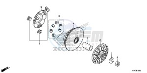 NSS125ADF Forza 125 - NSS125AD UK - (E) drawing DRIVE FACE