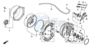 TRX350FM FOURTRAX 350 4X4ES drawing REAR BRAKE PANEL