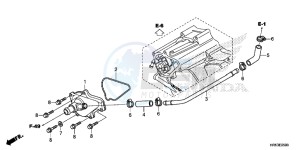 TRX500FM6F TRX500FM Australia - (U) drawing WATER PUMP COVER