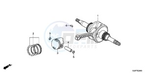 NSC50E Vision 50 - NSC50E UK - (E) drawing CRANKSHAFT/PISTON