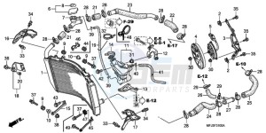 CBR600RR9 France - (F / CMF MME SPC) drawing RADIATOR