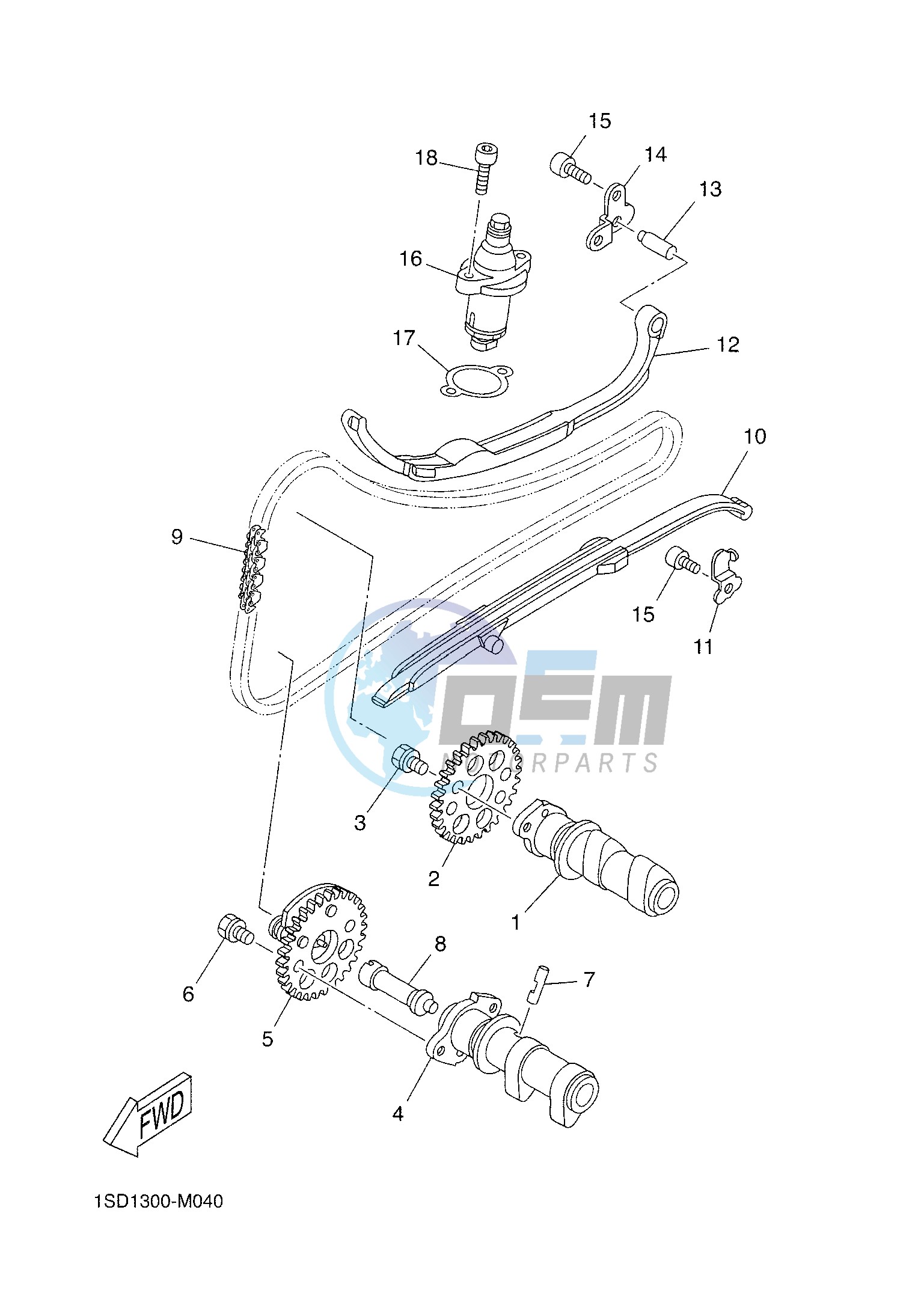 CAMSHAFT & CHAIN