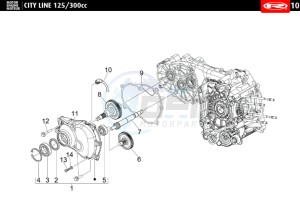 CITYLINE-IE-125-300-BLACK drawing TRANSMISSION COVER - EXHAUST CAMSHAFT  125 cc