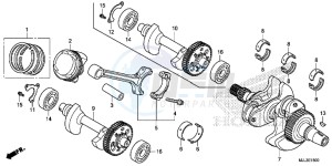 NC750XDE NC750XD Europe Direct - (ED) drawing CRANKSHAFT/ PI STON