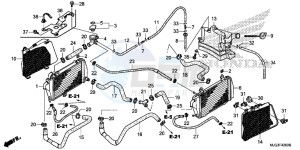 GL1800BF F6B Bagger - GL1800BF UK - (E) drawing RADIATOR