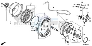 TRX420FE1E TRX420 Europe Direct - (ED) drawing REAR BRAKE PANEL