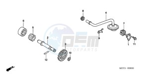 CRF450X9 Europe Direct - (ED) drawing OIL PUMP