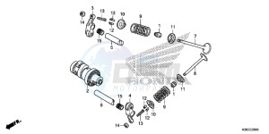 MSX125AH Europe Direct - (ED) drawing CAMSHAFT/ VALVE