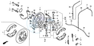 TRX350FM FOURTRAX 350 4X4ES drawing FRONT BRAKE PANEL