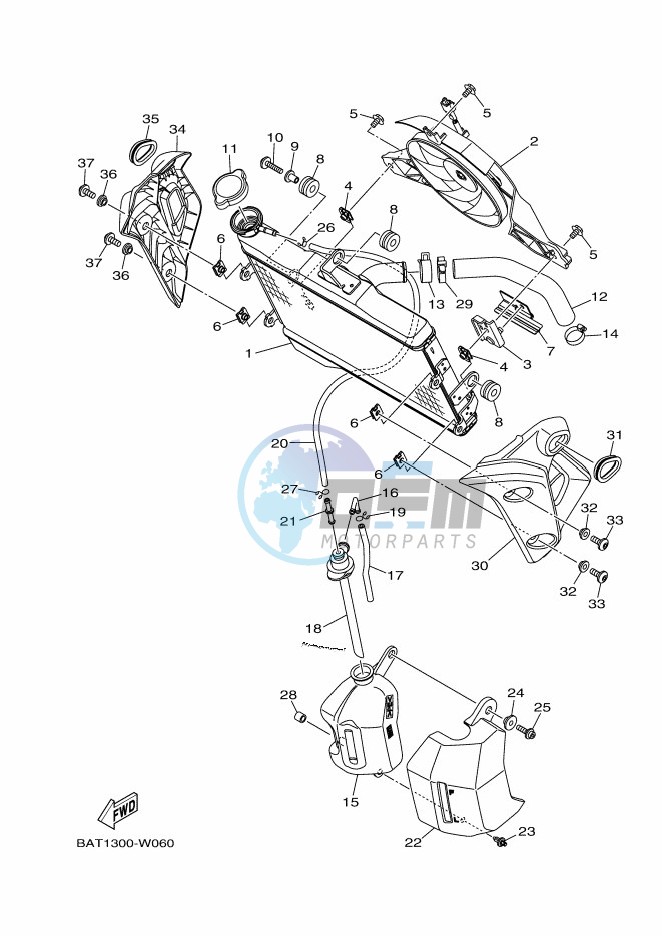 RADIATOR & HOSE