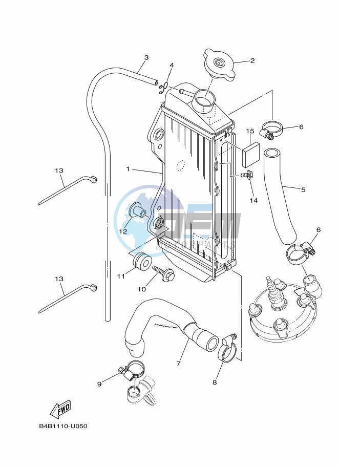 RADIATOR & HOSE