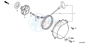 NC750SDH 2ED - (2ED) drawing MARK/STRIPE