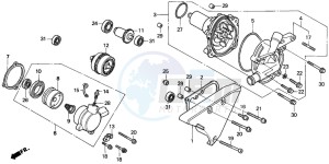 VT1100C drawing WATER PUMP (VT1100CS/CT)