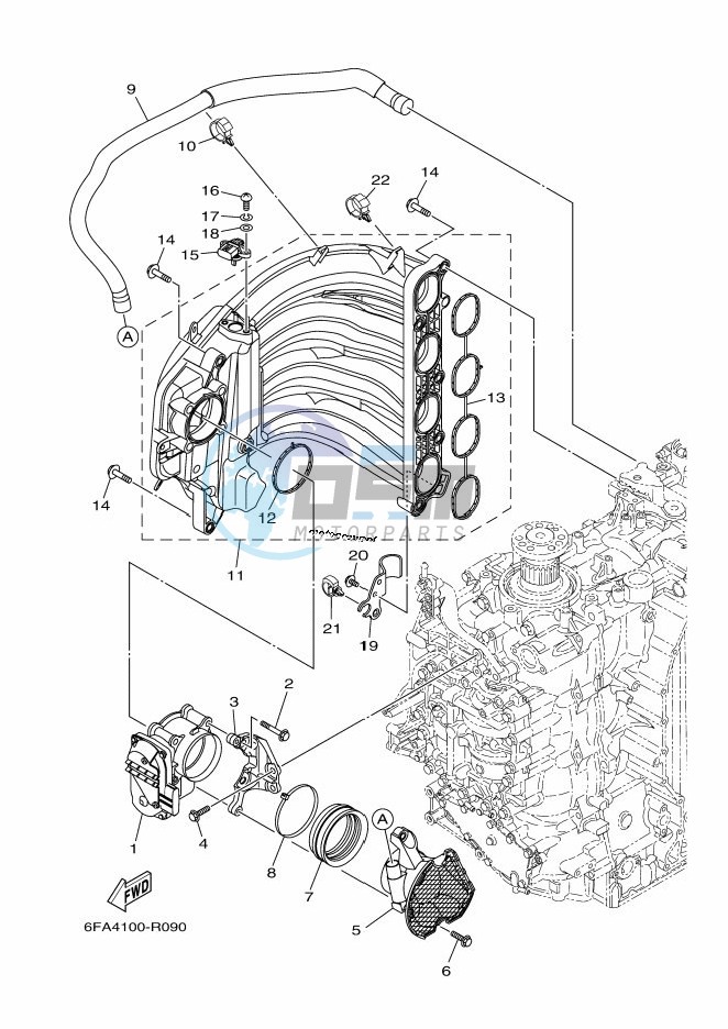 INTAKE-1