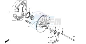 ST50 drawing FRONT BRAKE PANEL