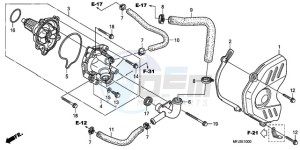 CBR600RRA Europe Direct - (ED / 2ED) drawing WATER PUMP