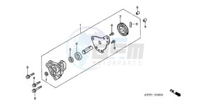 CBR125RWA Europe Direct - (ED / BLA) drawing OIL PUMP