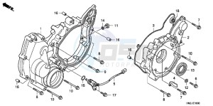 TRX500FPAC drawing REAR CRANKCASE COVER