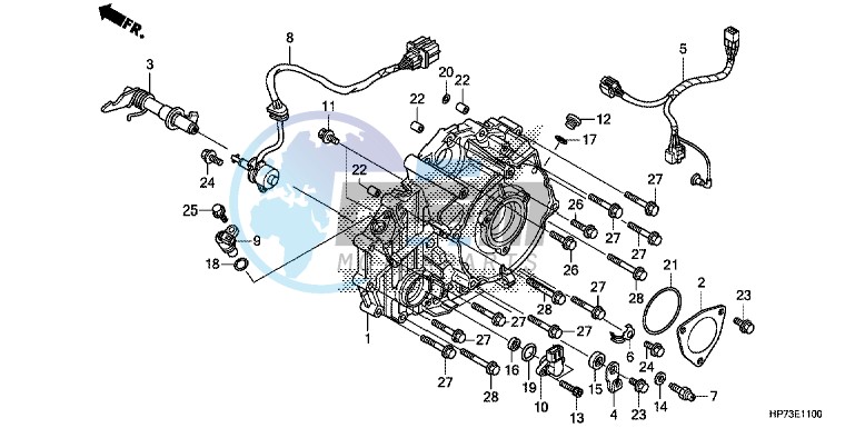 REAR CRANKCASE COVER