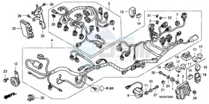 CBF600NA9 Europe Direct - (ED / ABS 25K) drawing WIRE HARNESS