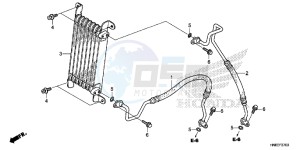 TRX680FAF TRX680 Europe Direct - (ED) drawing OIL COOLER