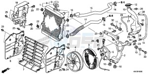 TRX500FE1F TRX500F Europe Direct - (ED) drawing RADIATOR