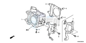 WW125D PCX125 - WW125 UK - (E) drawing CYLINDER