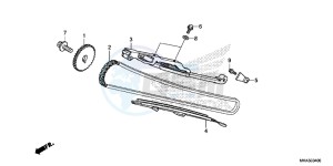 NC750XAG NC750X Europe Direct - (ED) drawing CAM CHAIN/ TENSIONER