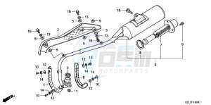 CRF50FB CRF50F ED drawing EXHAUST MUFFLER